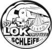 SV Lok Schleife HANDBALL